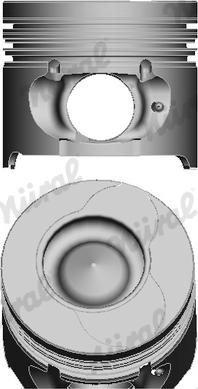 Wilmink Group WG1175188 - Поршень autosila-amz.com