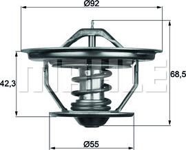 Wilmink Group WG1262751 - Термостат охлаждающей жидкости / корпус autosila-amz.com