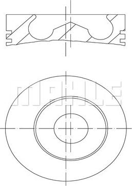 Wilmink Group WG1202060 - Поршень autosila-amz.com