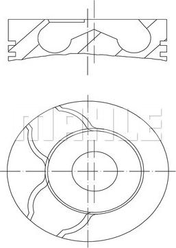 Wilmink Group WG1202131 - Поршень autosila-amz.com