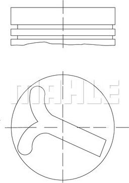 Wilmink Group WG1214548 - Поршень autosila-amz.com