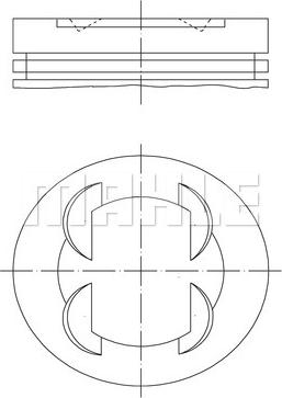 Wilmink Group WG1213470 - Поршень autosila-amz.com