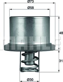 Wilmink Group WG1217545 - Термостат охлаждающей жидкости / корпус autosila-amz.com