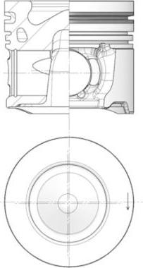 Wilmink Group WG1726302 - Поршень autosila-amz.com