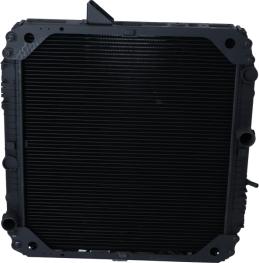 Wilmink Group WG1721612 - Радиатор, охлаждение двигателя autosila-amz.com