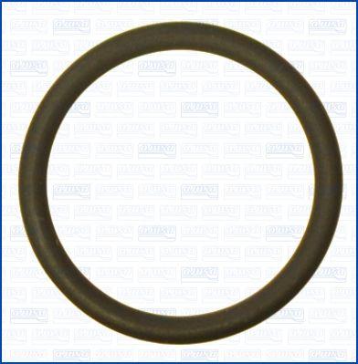Wilmink Group WG2081010 - Уплотнительное кольцо, резьбовая пробка маслосливного отверстия autosila-amz.com