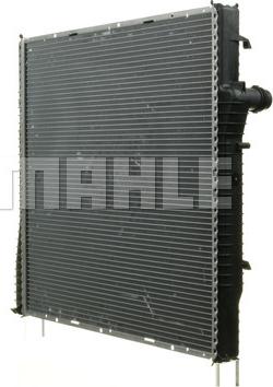 Wilmink Group WG2183769 - Радиатор, охлаждение двигателя autosila-amz.com