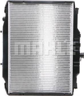 Wilmink Group WG2182601 - Радиатор, охлаждение двигателя autosila-amz.com
