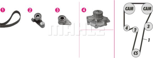 Wilmink Group WG2182192 - Водяной насос + комплект зубчатого ремня ГРМ autosila-amz.com