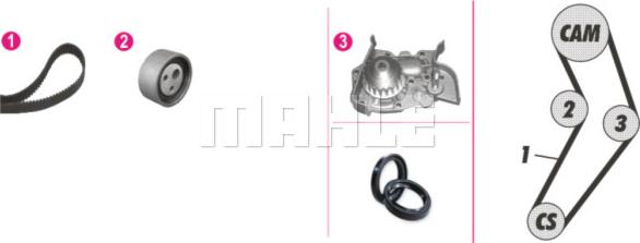 Wilmink Group WG2182182 - Водяной насос + комплект зубчатого ремня ГРМ autosila-amz.com