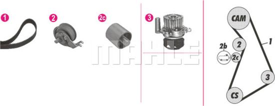 Wilmink Group WG2182126 - Водяной насос + комплект зубчатого ремня ГРМ autosila-amz.com