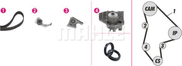 Wilmink Group WG2182175 - Водяной насос + комплект зубчатого ремня ГРМ autosila-amz.com