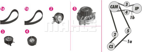 Wilmink Group WG2182176 - Водяной насос + комплект зубчатого ремня ГРМ autosila-amz.com