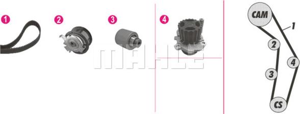 Wilmink Group WG2182216 - Водяной насос + комплект зубчатого ремня ГРМ autosila-amz.com