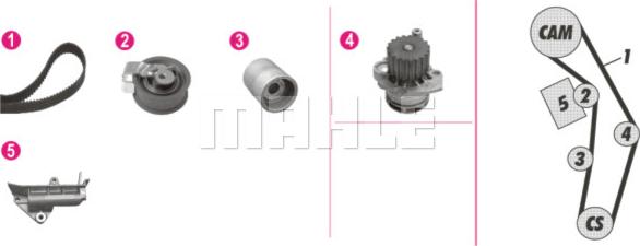 Wilmink Group WG2182218 - Водяной насос + комплект зубчатого ремня ГРМ autosila-amz.com