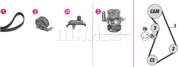 Wilmink Group WG2182225 - Водяной насос + комплект зубчатого ремня ГРМ autosila-amz.com