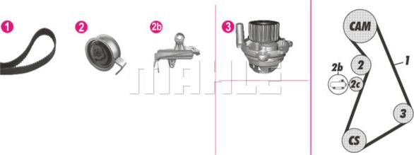 Wilmink Group WG2182227 - Водяной насос + комплект зубчатого ремня ГРМ autosila-amz.com