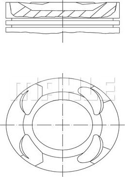 Wilmink Group WG2170522 - Поршень autosila-amz.com