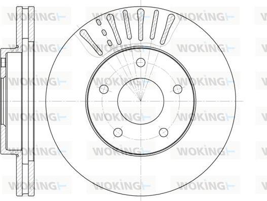 Woking D61973.10 - Тормозной диск autosila-amz.com