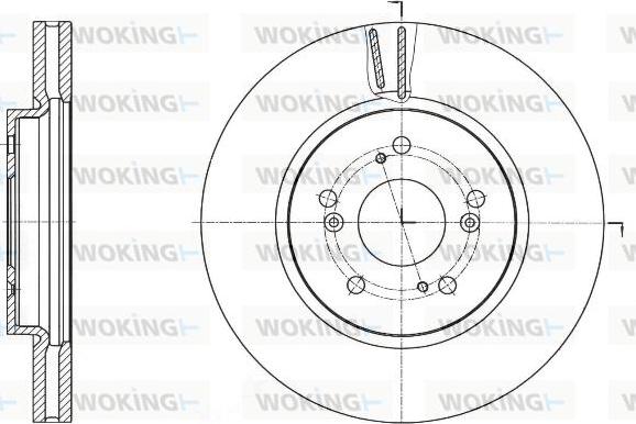 Woking D61643.10 - Тормозной диск autosila-amz.com