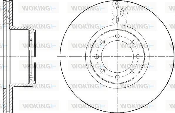 Woking D61673.10 - Тормозной диск autosila-amz.com