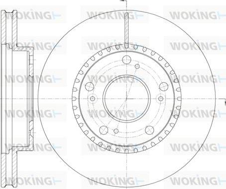 Woking D61232.10 - Тормозной диск autosila-amz.com