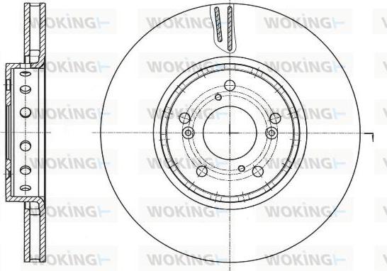 Woking D61753.10 - Тормозной диск autosila-amz.com