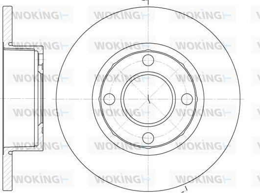 Woking D6173.00 - Тормозной диск autosila-amz.com