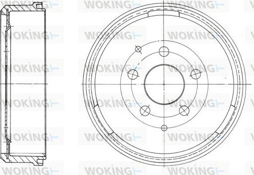 Woking D62030.00 - Тормозной диск autosila-amz.com