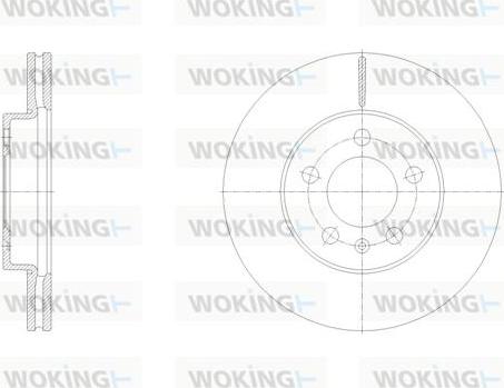 Woking D62119.10 - Тормозной диск autosila-amz.com