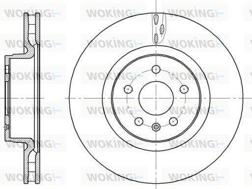 Woking D62110.10 - Тормозной диск autosila-amz.com