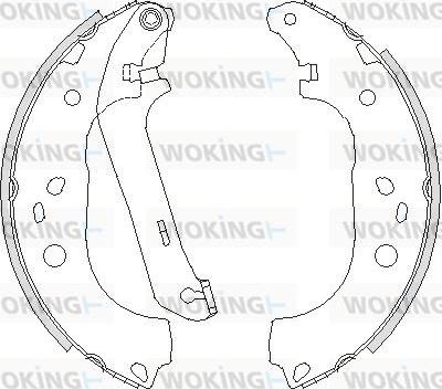 Woking Z4206.01 - Тормозные башмаки, барабанные autosila-amz.com