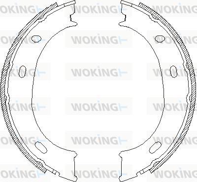 Woking Z4710.01 - - - autosila-amz.com