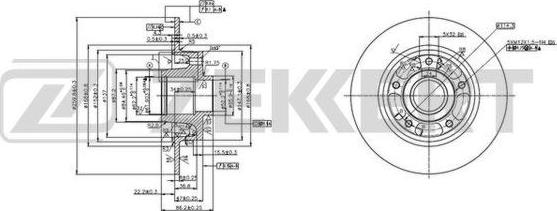 Zekkert BS-5878 - Тормозной диск autosila-amz.com