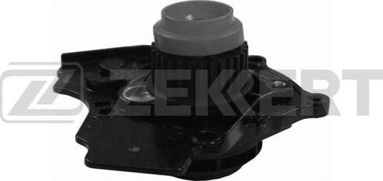 Zekkert WP-1354 - Водяной насос autosila-amz.com