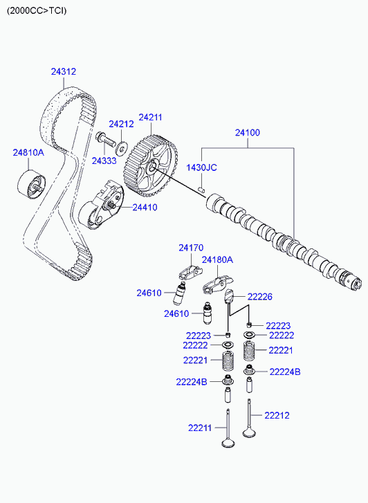 KIA 24312-26001 - Зубчатый ремень ГРМ autosila-amz.com