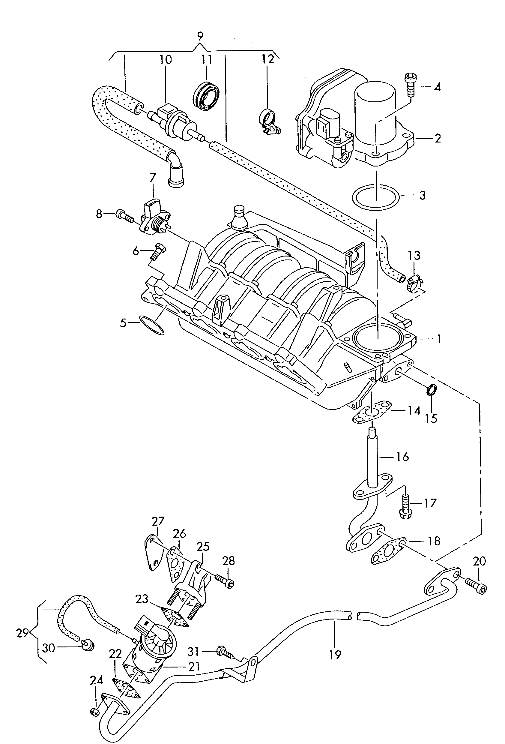 Seat 036 131 503 T - Прокладка, клапан возврата ОГ autosila-amz.com