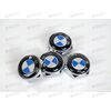 Болт крепления номерного знака BMW металлик (4 шт) AV